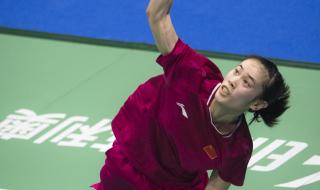 中国羽毛球锦标赛